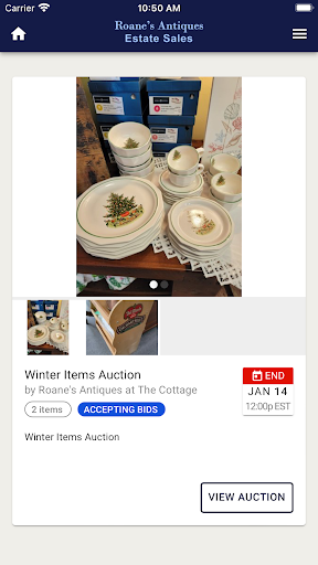 Roanes Antiques Screen 3