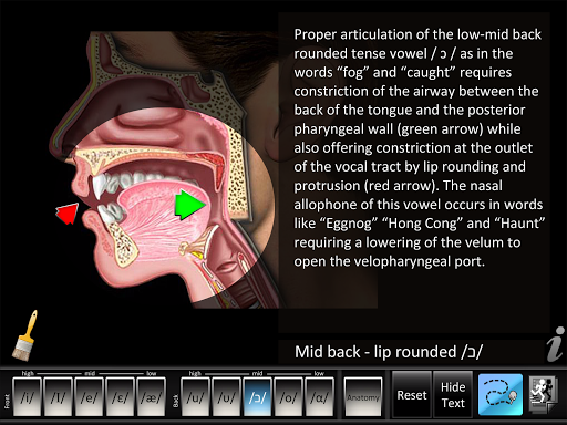 Vowels Front/Back Screen 2