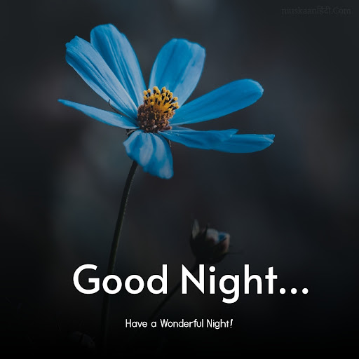 Good Night Images Screen 3