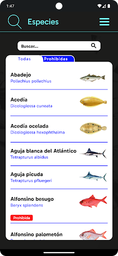 Datalborán Screen 3