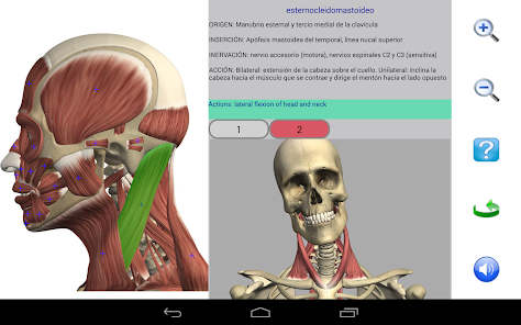 Captura de Pantalla 11 Visual Anatomy 2 android