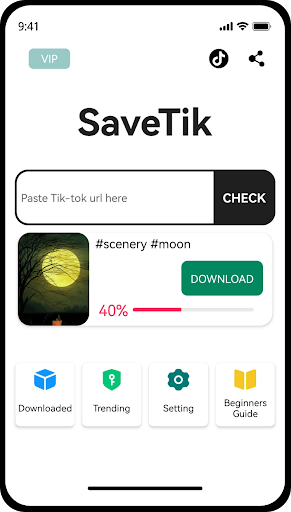 Video Downloader For SaveTik 9