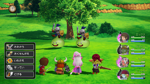 Screenshot image