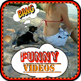 Videos of humor. icon