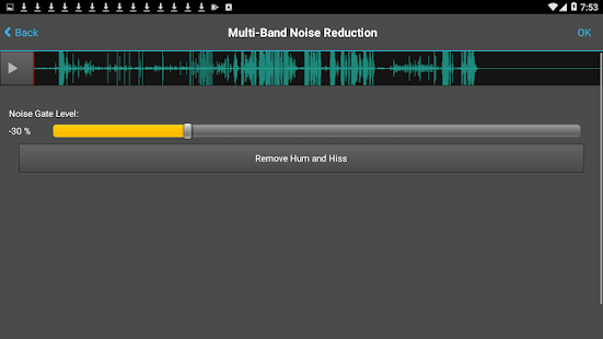 WavePad Audio Editor for pc screenshots 2