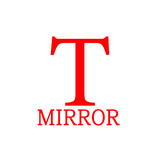 Mirror for tesla