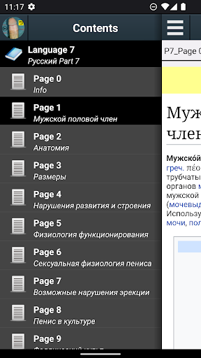 Предварительный просмотр приложения