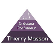 Thierry Masson  Icon