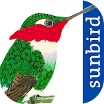 Cover Image of Download All Birds Colombia - A Sunbird  APK