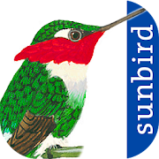 All Birds Colombia - A Sunbird Field Guide