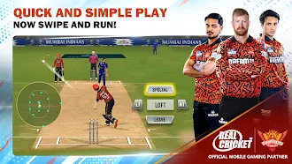 Game screenshot Real Cricket Swipe hack