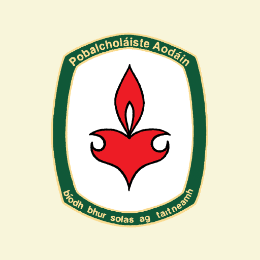 St. Aidans Community College logo