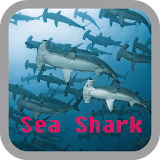 Sea Shark wallpaper icon