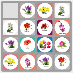Immagine dell'icona Flower Swap