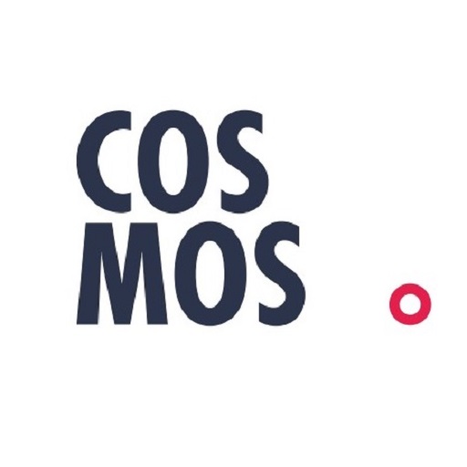 코스모스 위스키