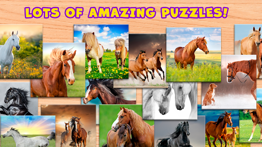 Horses Puzzle Game Screen 2