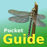 Pocket Guide UK Dragonflies icon