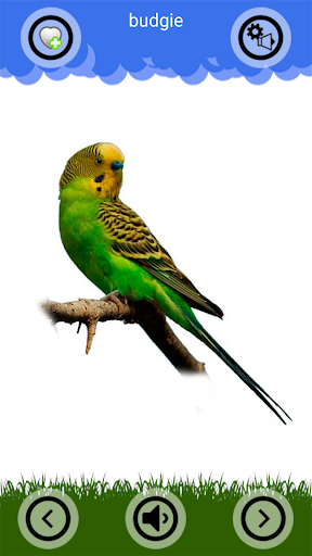 Animal Sounds and Ringtones Screen 2
