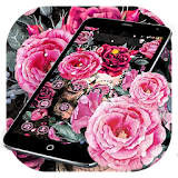 Pink Rose Skeleton Romantic Theme icon