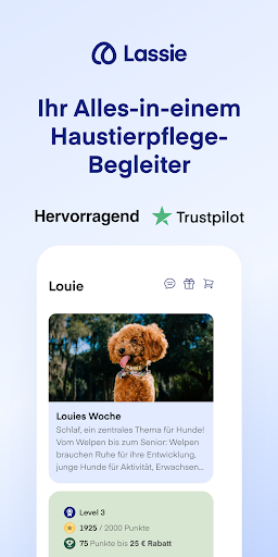 App-Vorschau