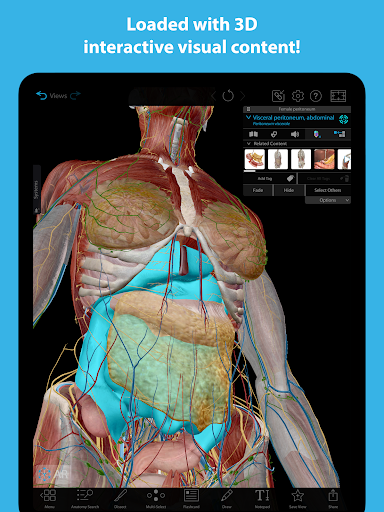 تحميل برنامج Human Anatomy Atlas 2023 مهكر للاندرويد Gallery 5