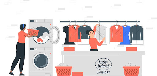 Kathy Ireland Laundry