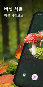 MushroomAI: Fungi ID & Guide
