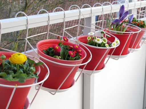 Container Garden Ideas