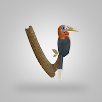 Vannya - Your Digital Bird Guide