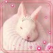 Bunnies Glamour Live Wallpaper - Androidアプリ