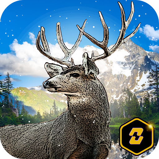 American Hunter Big Buck 3D H