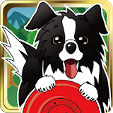 Disc Dog (Frisbee dog) icon