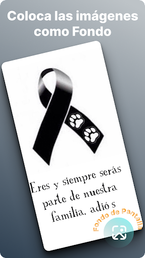 Imágenes con frases de luto...