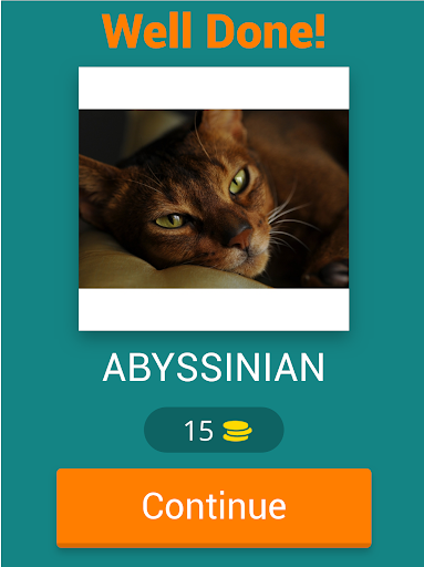 cat breeds quiz