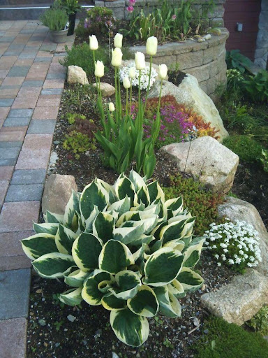 Screenshot of Garden Landscape