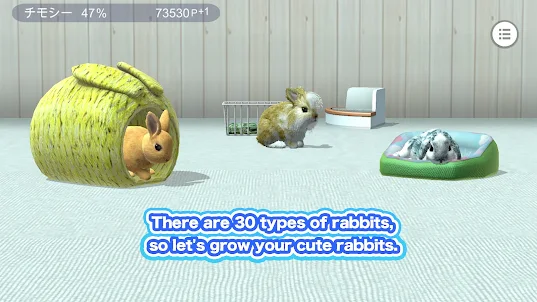 My Rabbit Room