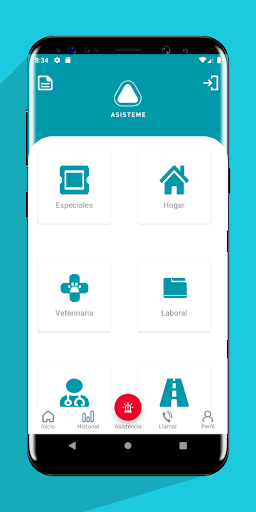 Asisteme Screen 2