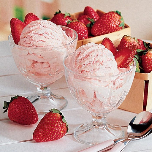 Homemade Ice Cream Recipes logo