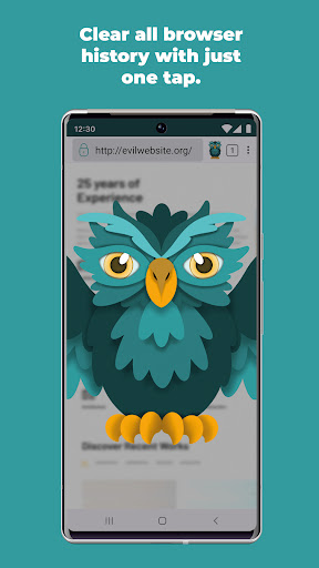 Private Browser - Browlser