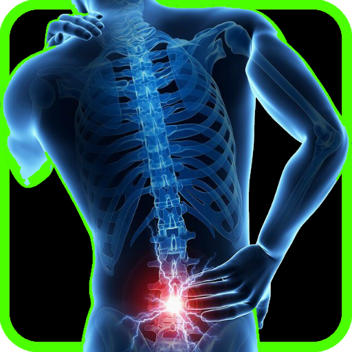 Lower Back Pain Exercises icon