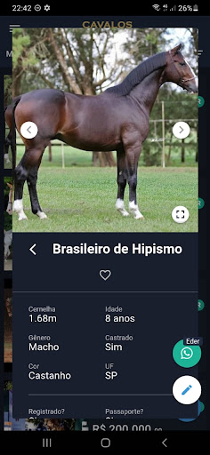 Cavalos Shop Screen 2
