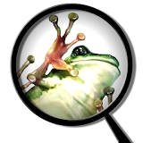 Froguts Frog Dissection icon