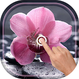 Magic Touch - Orchid LWP icon