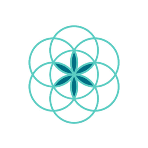 Santa Casa Saúde Bragança Pta logo