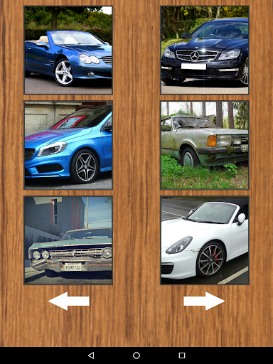 Real Car Alarm Sounds