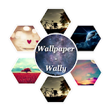 Wallpaper-Wally icon