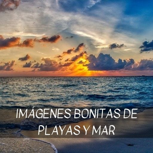 Imágenes bonitas playas y mar logo