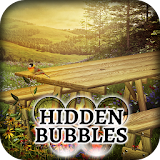 Hidden Bubbles: Summer Garden icon