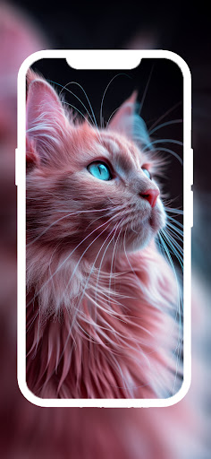 Screenshot of Cat & Kitten Wallpaper 4K - HD