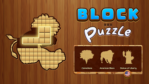 Q Block Puzzle - Wood Puzzle